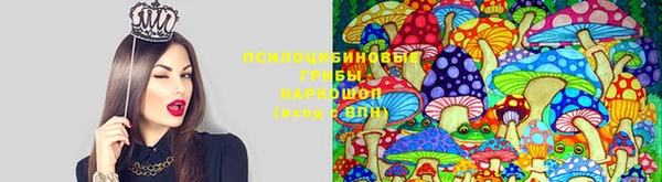 наркотики Богданович