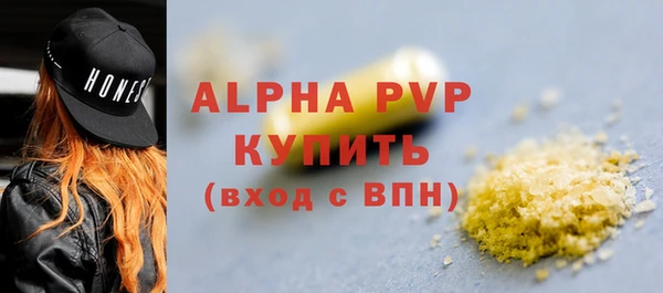 стаф Богородицк
