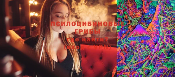 стаф Богородицк