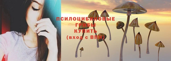 наркотики Богданович