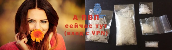 mdpv Каменногорск