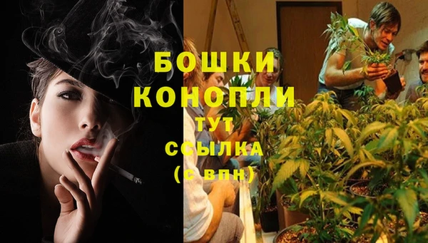 наркотики Богданович
