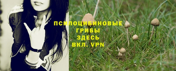 стаф Богородицк