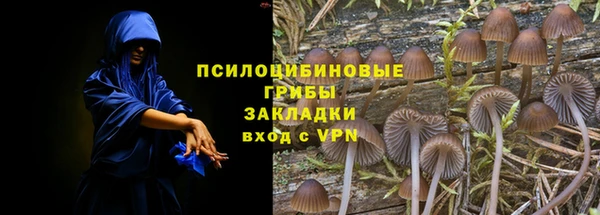 стаф Богородицк