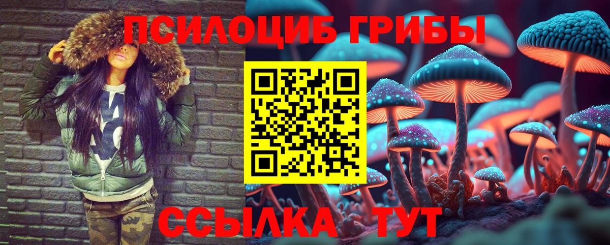 Псилоцибиновые грибы GOLDEN TEACHER Наро-Фоминск